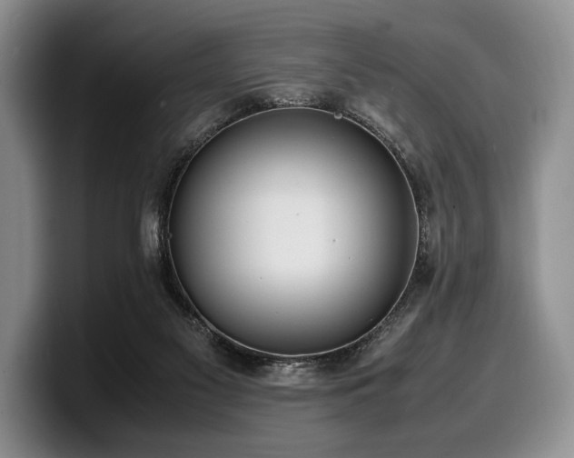 X0000100310117200806051504
