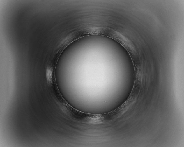 X0000100310118200806051504