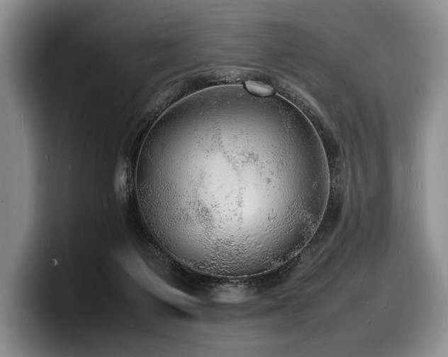 X0000100310119200806051504