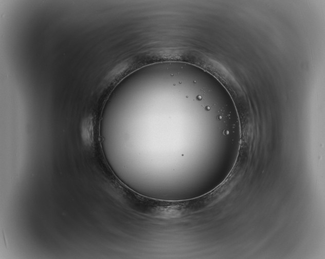 X0000100310120200806051504