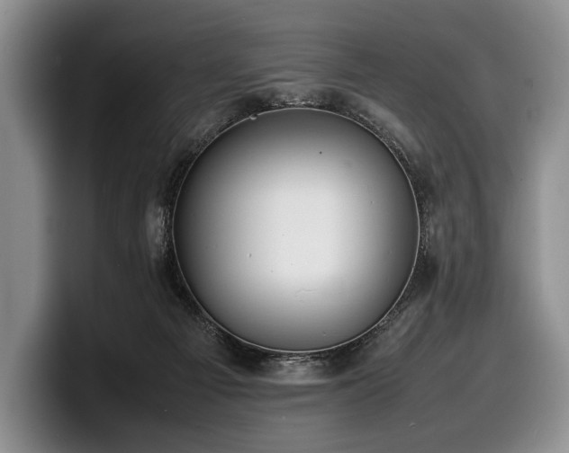 X0000100310121200806051504