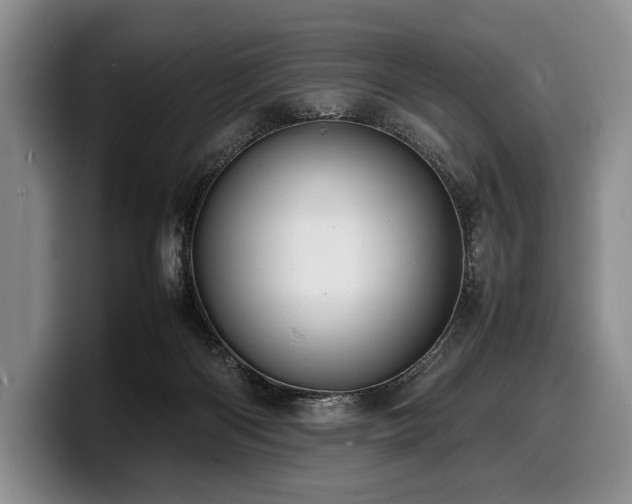 X0000100310122200806051504