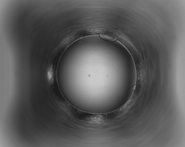 X0000100310124200806051504
