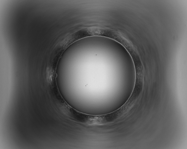 X0000100310125200806051504