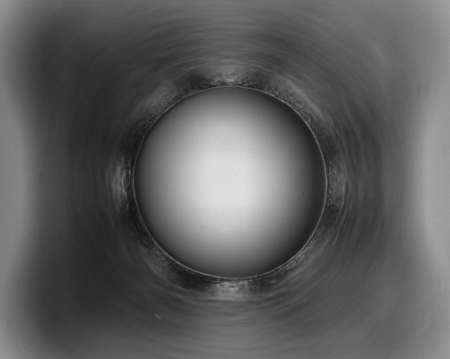 X0000100310126200806051504