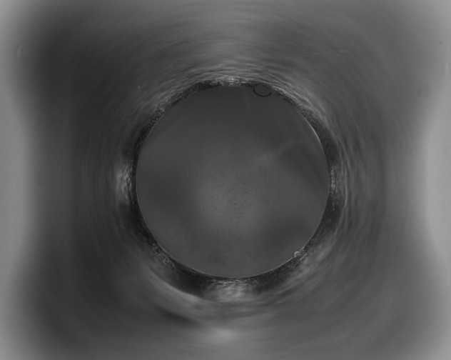 X0000100310127200806051504