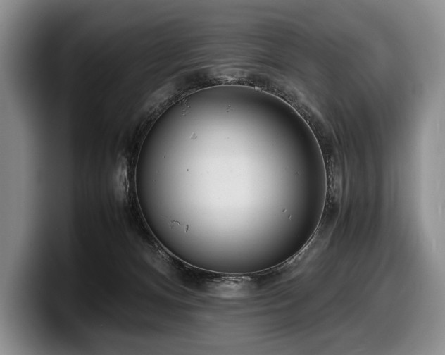 X0000100310128200806051504