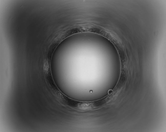 X0000100310129200806051504