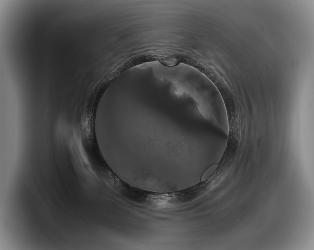 X0000100310131200806051504