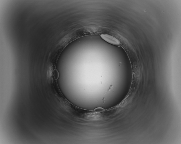 X0000100310132200806051504