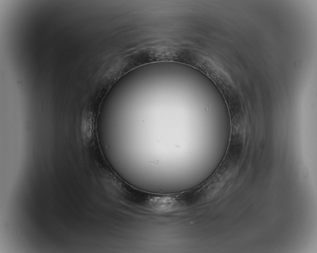 X0000100310133200806051504