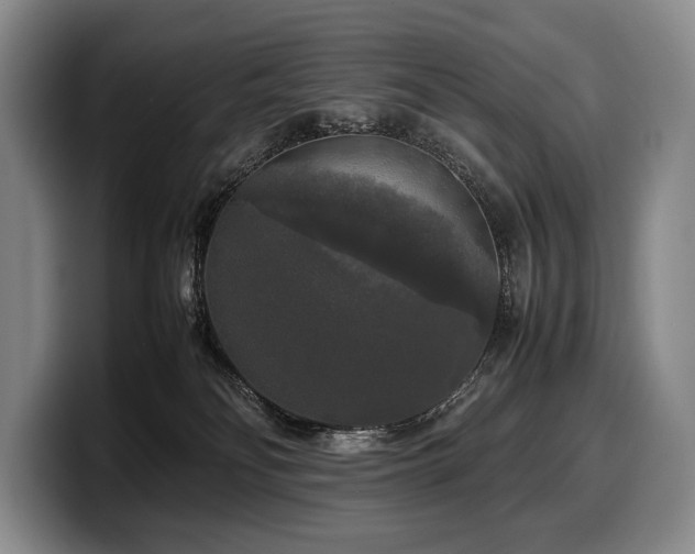 X0000100310134200806051504