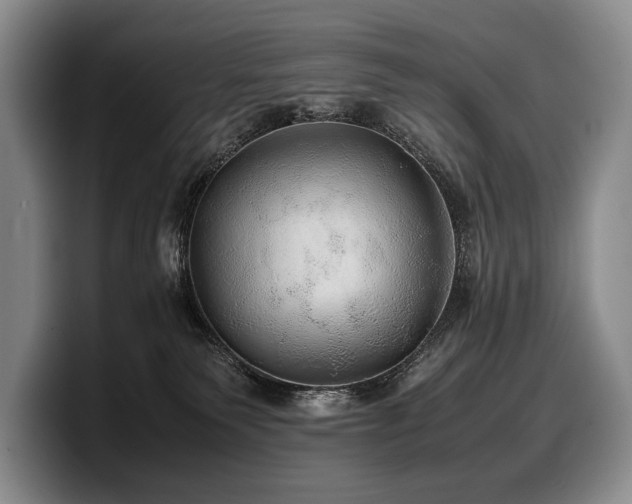 X0000100310135200806051504