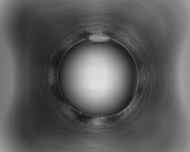 X0000100310136200806051504