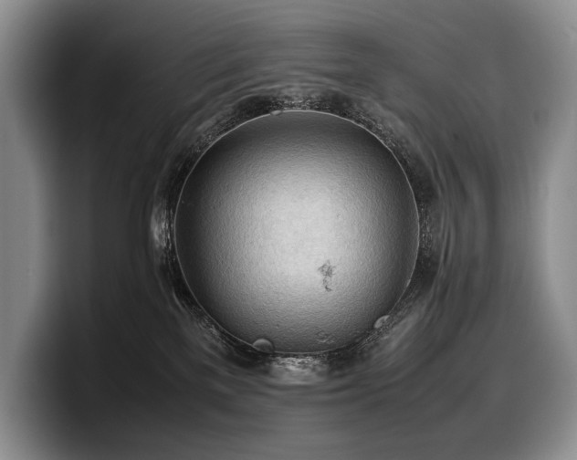 X0000100310137200806051504