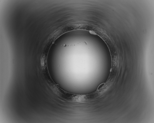 X0000100310138200806051504