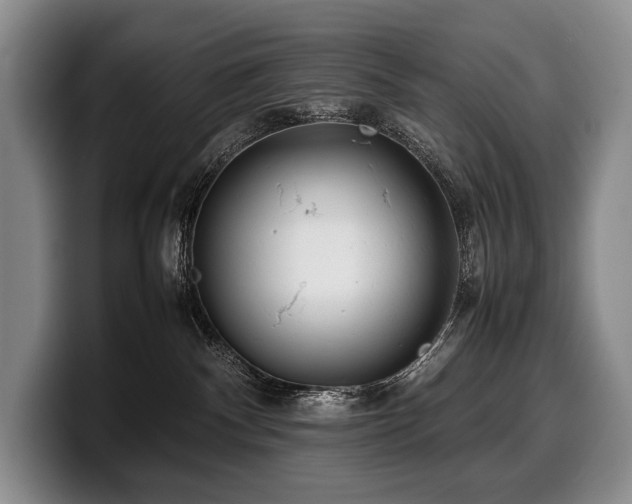 X0000100310140200806051504