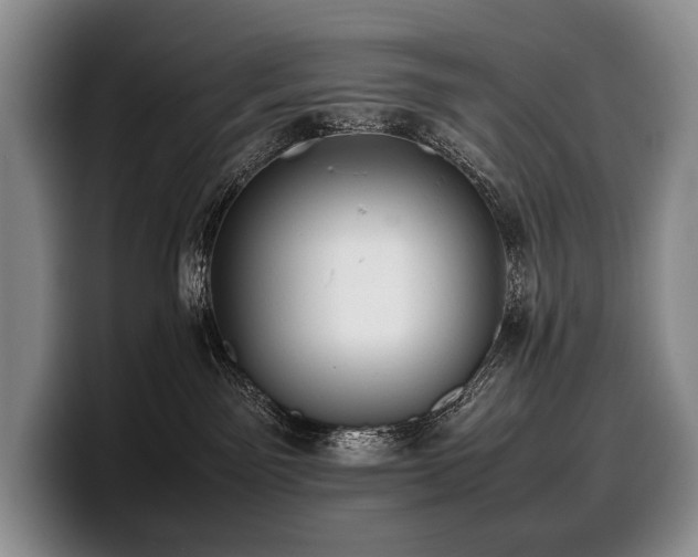 X0000100310141200806051504