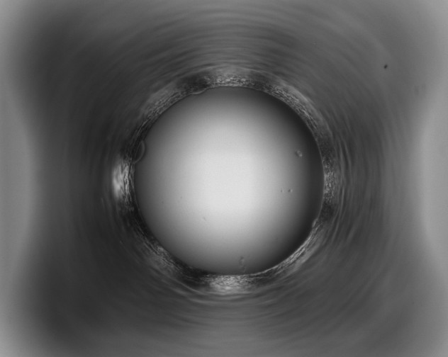 X0000100310142200806051504