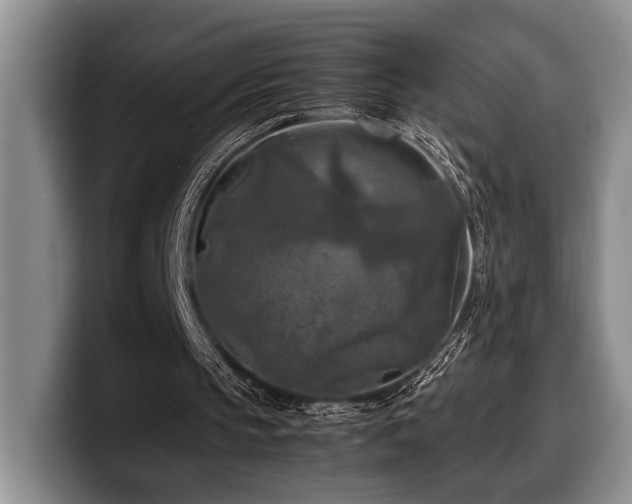 X0000100310145200806051503