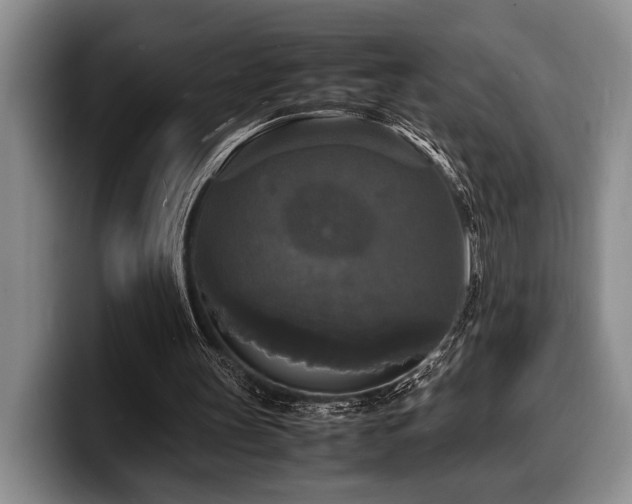 X0000100310147200806051503