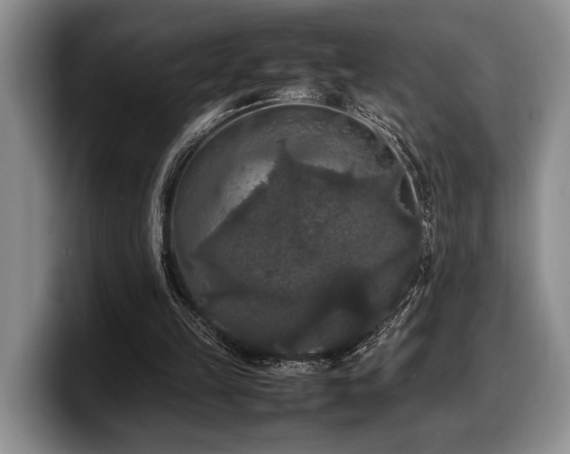 X0000100310149200806051503