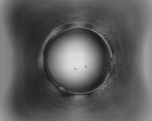 X0000100310150200806051503
