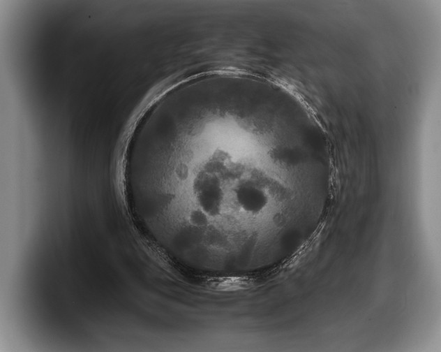X0000100310151200806051503