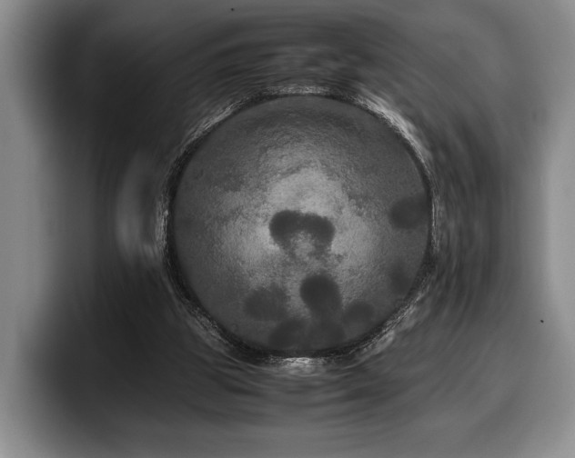 X0000100310153200806051503