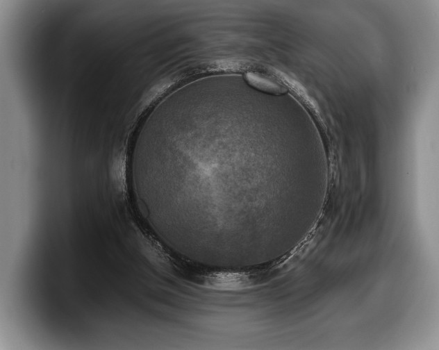X0000100310154200806051503