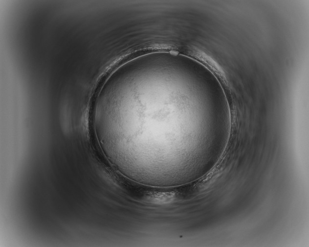 X0000100310155200806051503