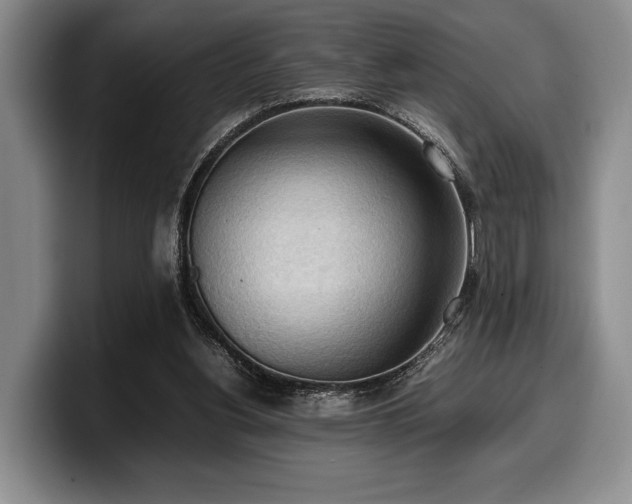 X0000100310156200806051503