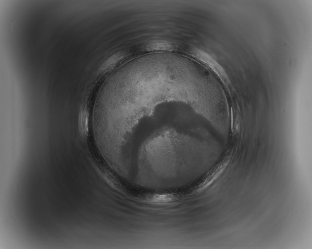 X0000100310157200806051503