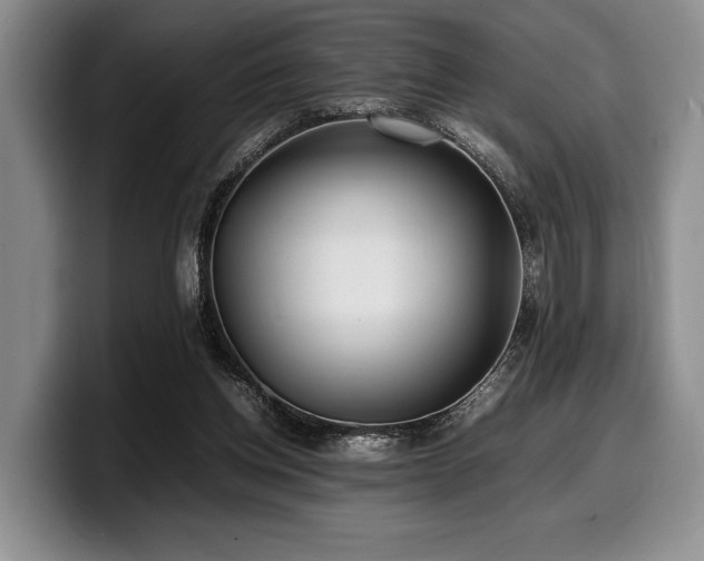 X0000100310158200806051503