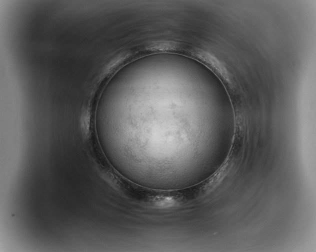 X0000100310159200806051503