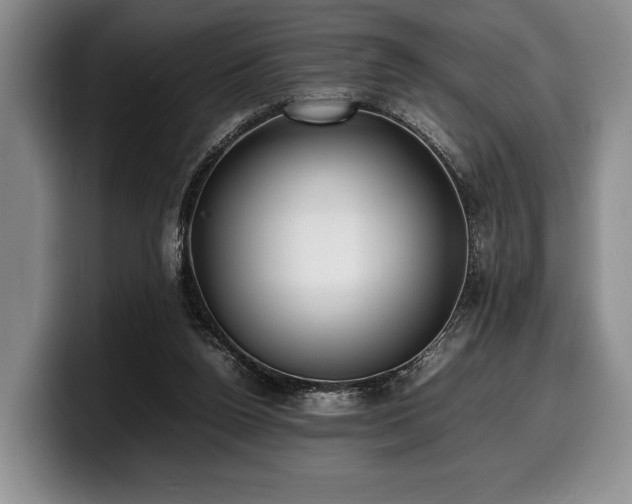 X0000100310160200806051503