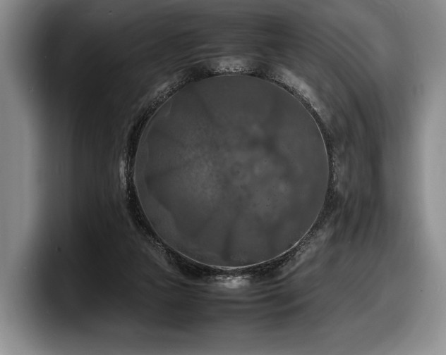 X0000100310161200806051503