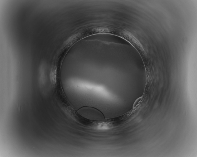 X0000100310163200806051503