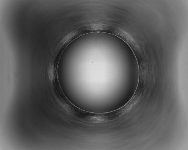 X0000100310164200806051503