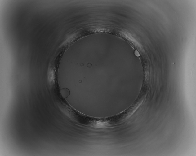 X0000100310165200806051503