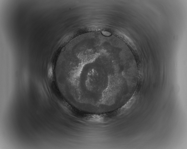X0000100310166200806051503