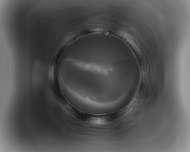 X0000100310167200806051503