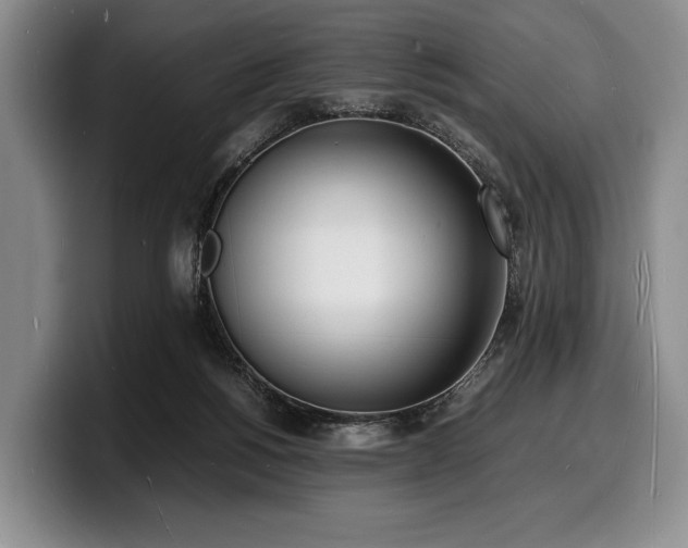 X0000100310168200806051503