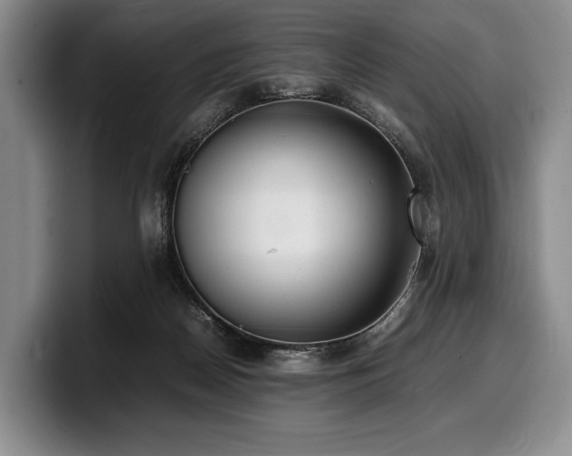 X0000100310170200806051503