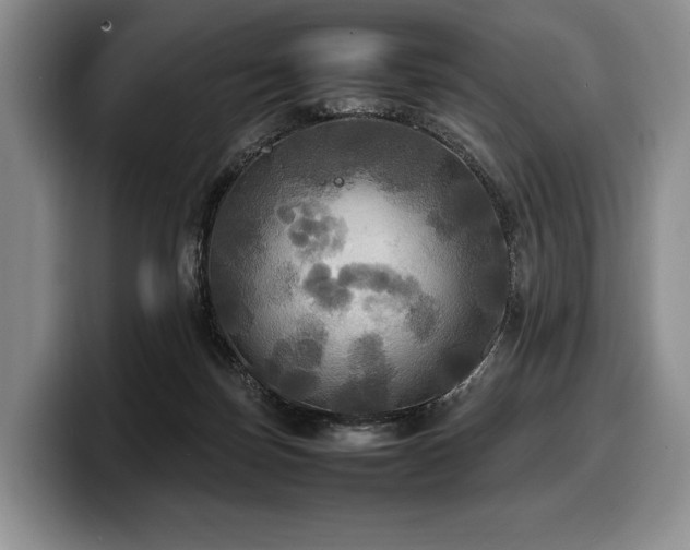 X0000100310171200806051503