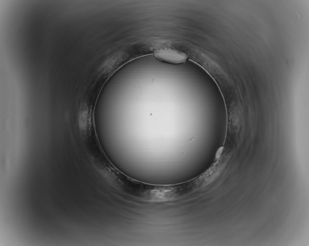 X0000100310172200806051503