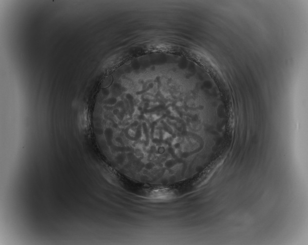 X0000100310173200806051503