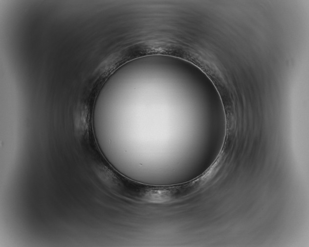 X0000100310174200806051503