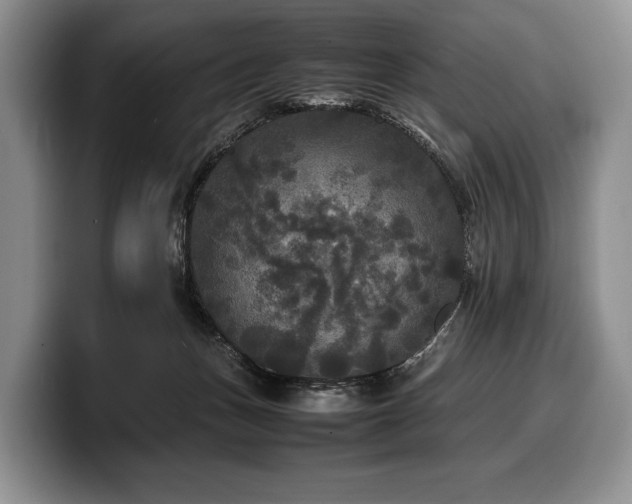 X0000100310175200806051503