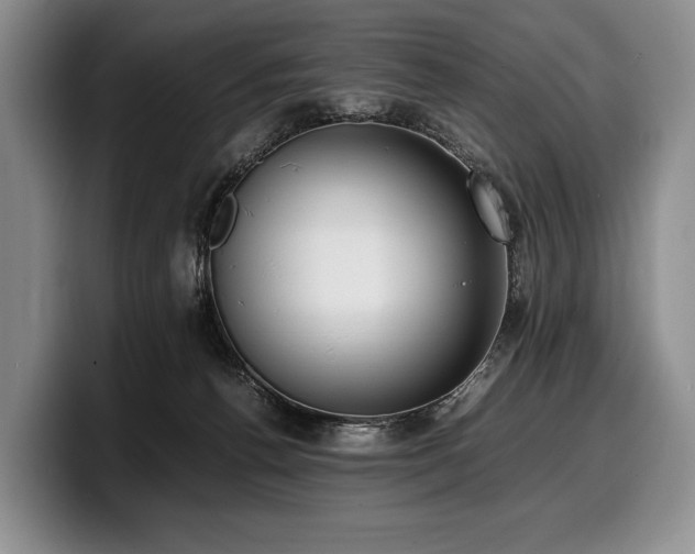 X0000100310176200806051503